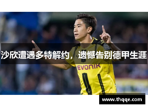 沙欣遭遇多特解约，遗憾告别德甲生涯